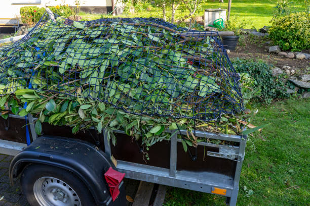 Reliable Freeport, IL Junk Removal Services Solutions